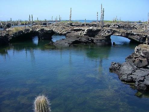 . Il paesaggio è lunare, con piccoli crateri a volte ancora fumanti, colate laviche fresche rosse e gialle, e una vista incredibile su tutta l isola, il mare, ed i vulcani al nord di Isabela.