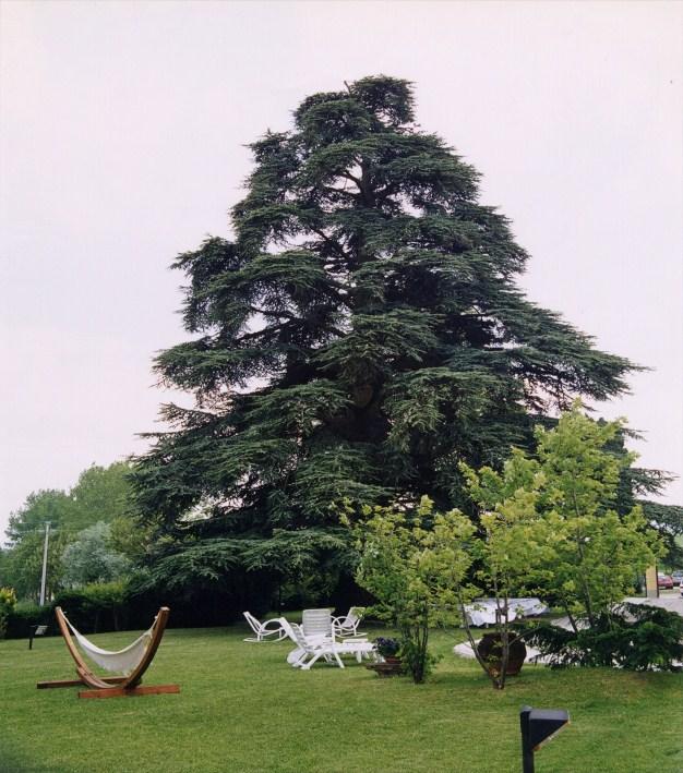 Palazzo Loup e l Ambiente Palazzo Loup è impegnato da sempre nel seguire una politica gestionale e una offerta di servizi turistici rispettosi dell'ambiente.