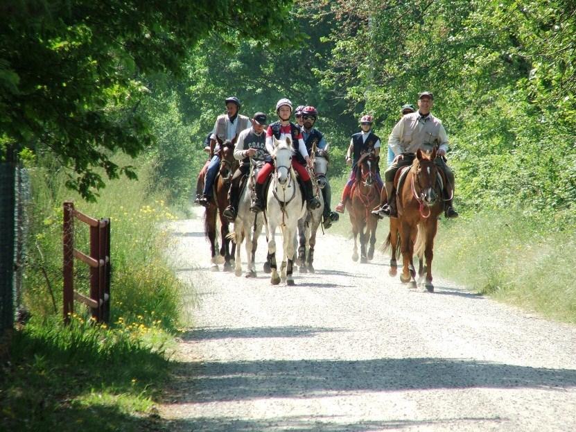 all osservatorio astronomico, centrale eolica ect), eno-gastronomici (visite cantine, degustazioni prodotti tipici ect), sportivi (golf, trekking, ippoturismo, mountain bike, ect) Per ulteriori