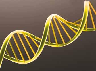 650 La gamma dei dischi GRINDING Jolly ha nel proprio DNA la soluzione unica per tagliare tutti i tipi di materiale.