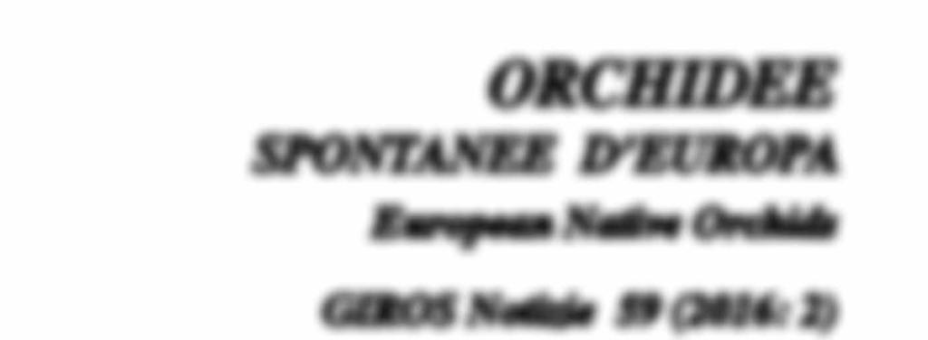 ORCHIDEE SPONTANEE D EUROPA