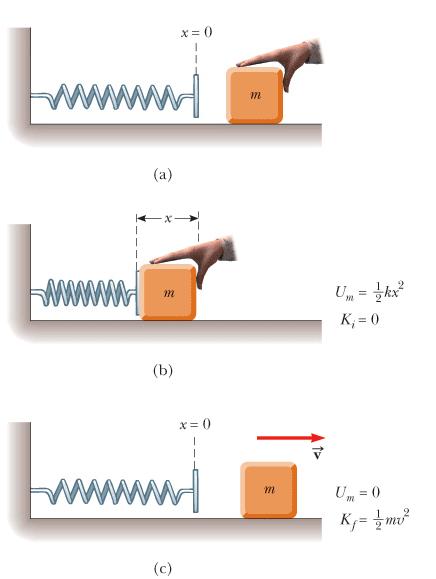 Esercizio 6 La molla per lanciare le palline da flipper ha una costante elastica k = 405 N m.