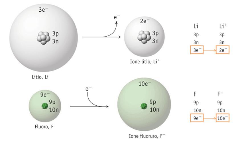 Gli atomi di molti elementi possono cedere o acquistare elettroni nel corso di una reazione chimica.