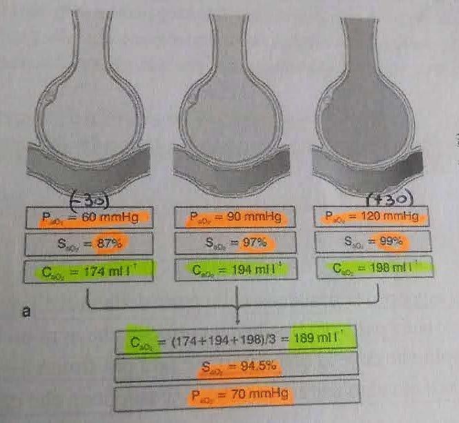 OSSIGENO (non