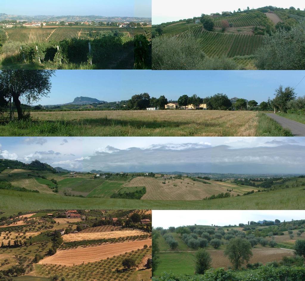 K1 Sistema ambientale COLLINA Ambiti identitari: 2c. Ambito agricolo dei vigneti 3c.