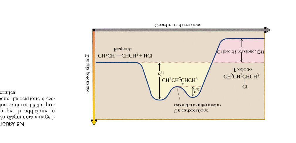 Profilo energetico della reazione di addizione di X ad un