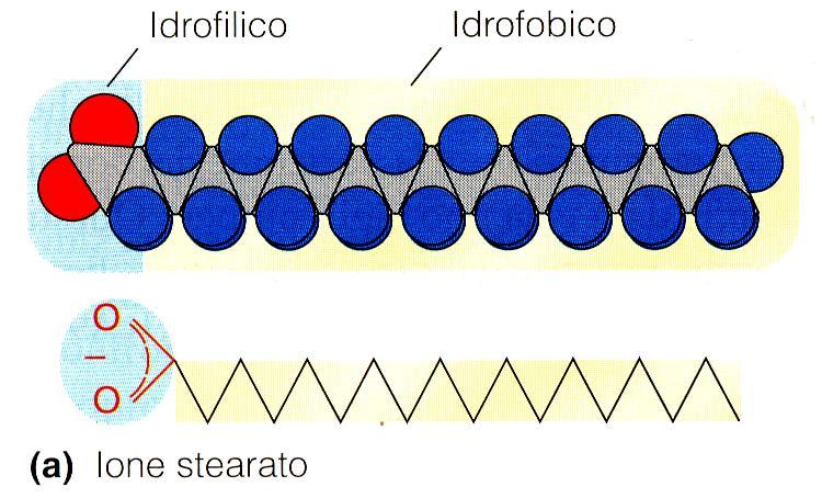 lunghe nella composizione