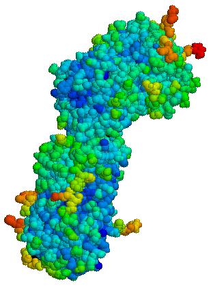 CARATTERISTICHE ANTITROMBINA (AT) Glicoproteina plasmatica, che agisce da inibitore delle serina proteasi formando un complesso