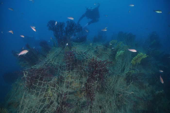 Manara, impattati dalla presenza di