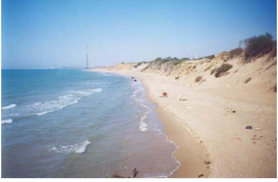 L analisi dei dati mette in evidenza come le unità costiere maggiormente soggette all erosione sono quelle comprese tra Punta Castelluzzo e Licata (unità costiere 6, 7 e 8), nel litorale