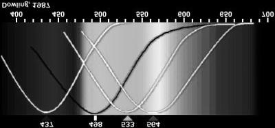 Colori (2) Esistono tre famiglie di coni, maggiormente sensibili a lunghezze d onda corte (Blu), medie (Verde) e lunghe (Rosso) Sensibilità normalizzata dei coni (curve bianca) e dei bastoncelli