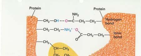 structure of