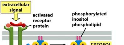 edu/dept/bcbp/molbiochem/mbweb/mb1/part2/lipid.