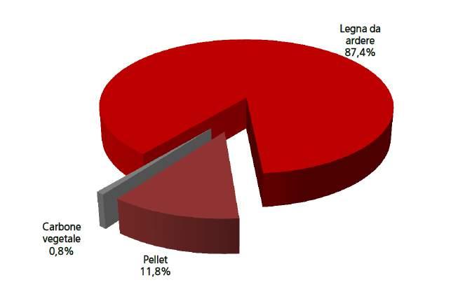 Biomassa solida e rifiuti Consumi