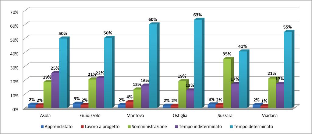 Distretto di Viadana: il 55% degli avviamenti avviene attraverso l impiego della tipologia contrattuale Tempo Determinato, segue la Somministrazione con il 21%, il Tempo Indeterminato con il 17%, l