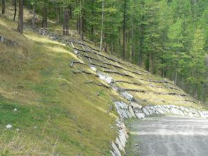 Capitolo 6 - Interventi dimostrativi, attivita di diffusione e integrazione con progetti internazioneali formano sul terreno una specie di tessitura a grandi maglie, dette anche camere.