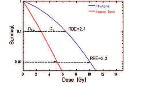 no, così, per quantificare l efficacia delle differenti radiazioni contro le zone ipossiche, si è introdotto il parametro Oxigen Enhancement Ratio o OER: OER = D hypoxic D oxigenated Con D h