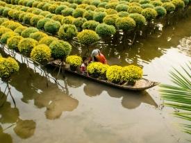 Lasciata la barca si visita la gente del posto per vedere il modo in cui fanno i loro elettrodomestici per la casa con tronchi di noce di cocco e per le