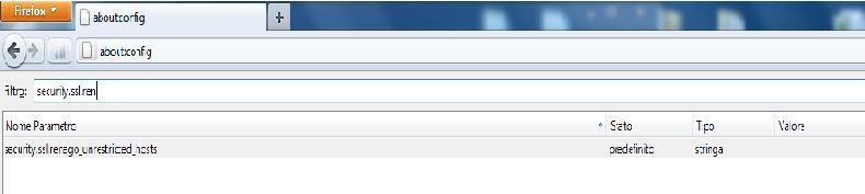 Firefox 4 e successivi Coloro che avessero installato la versione 4 di Firefox devono modificare un parametro di configurazione del browser per