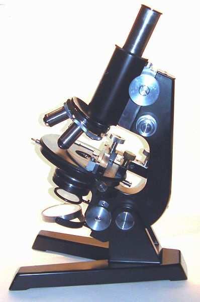 I microscopi I microscopi ottici usano la luce come