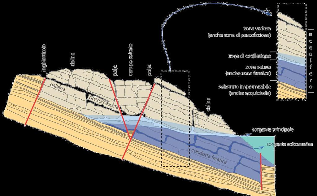 COME IL CARSISMO SI