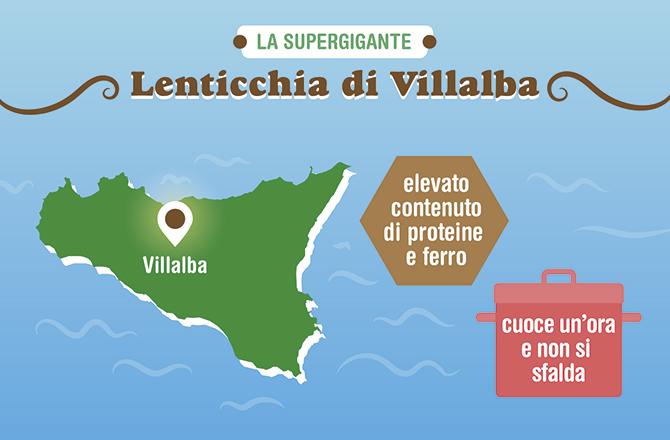 Secondo le ricerche la lenticchia supergigante di Villalba si caratterizza per un elevato contenuto proteico (27,1 gr su 100 gr di sostanza secca), un basso tenore in fosforo e potassio