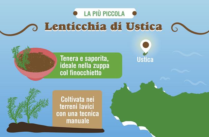 In Sicilia, sull isola di Ustica, cresce anche un altra varietà di lenticchie di grande pregio.