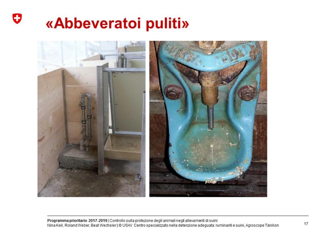 Le tettarelle sono raramente imbrattate Abbeveratoi a tazza: puliti = senza feci né urina nell acqua;