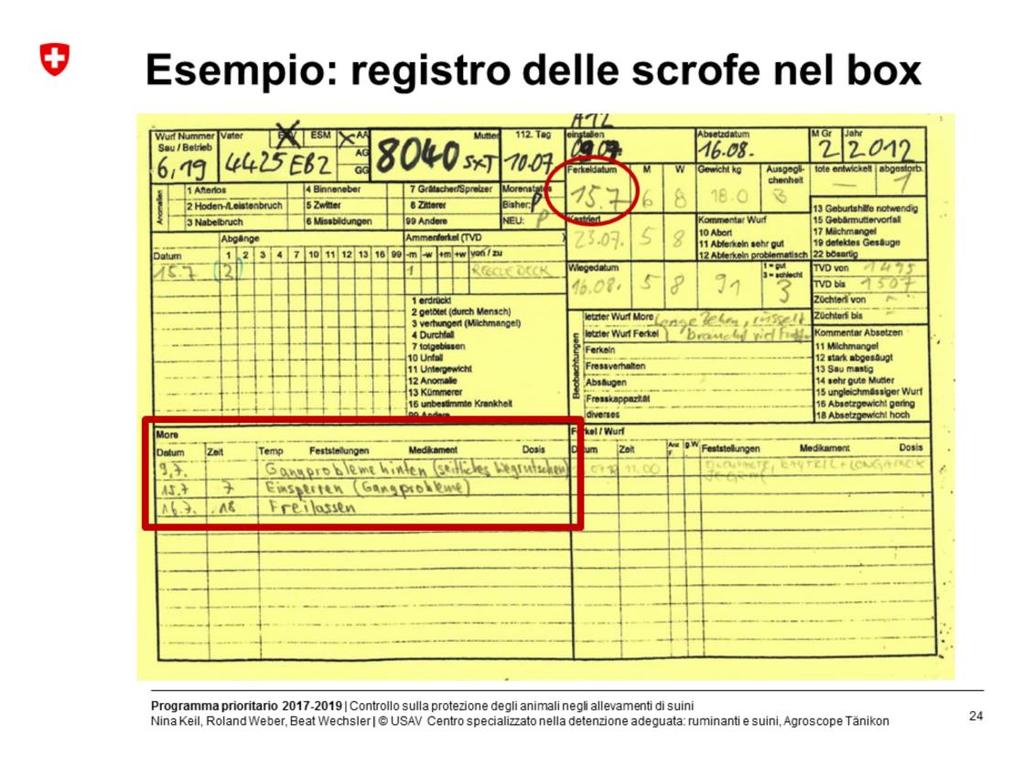 Non esiste un formulario obbligatorio. Questo registro delle scrofe è un esempio di documentazione della reclusione di scrofe.