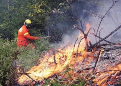 In linea con le direttive nazionali la campagna antincendio boschivo 2014 è partita lo scorso 15 giugno e si concluderà il prossimo 15 settembre.