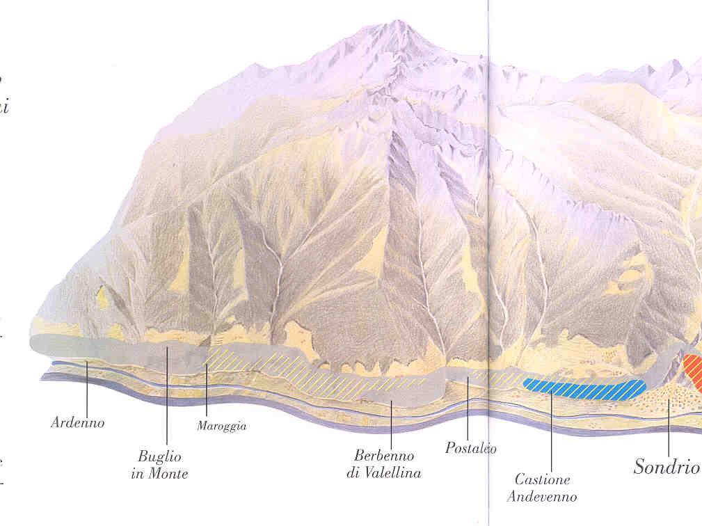 Anno Superfici Aziende STRUTTURA DI PRODUZIONE 1864