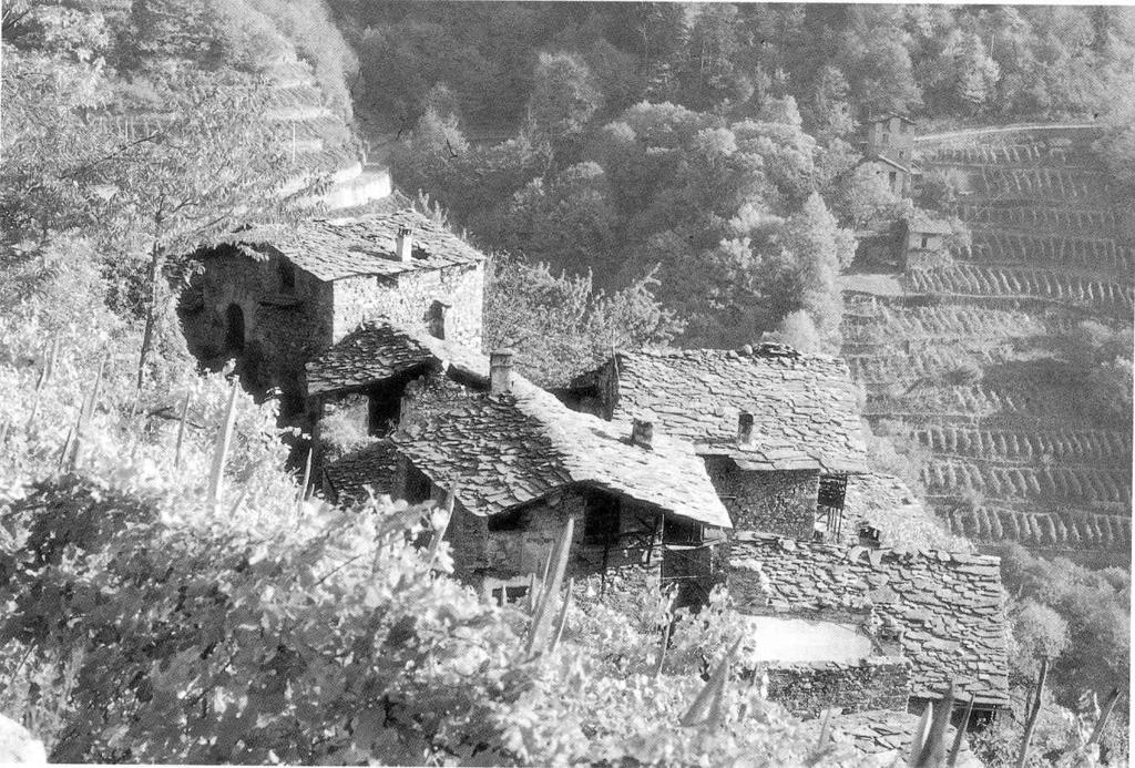 Il valore culturale e ambientale è la base per la sopravvivenza e sviluppo delle aerea terrazzata 1)