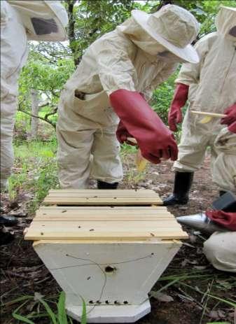 Il progetto apicoltura: missione di valutazione finale (giugno 2010) L