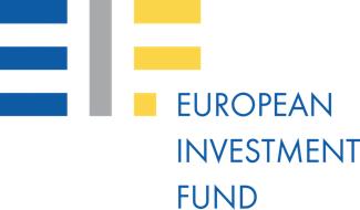 Il Gruppo BEI Eroga finanziamenti e consulenza per la realizzazione di progetti d