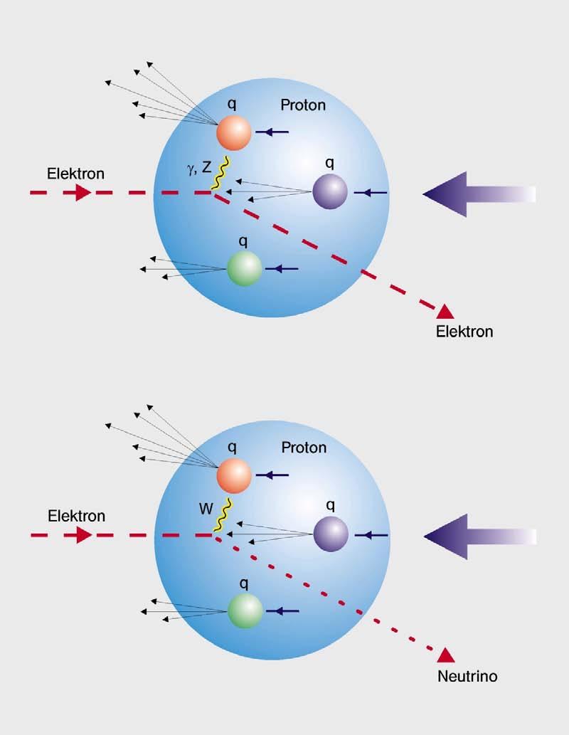 Anche il protone ha una struttura interna Domanda: il protone e gli altri adroni sono elementari o composti,