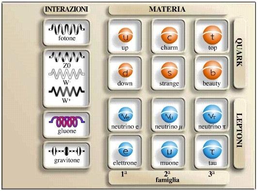 Il Modello Standard: materia e quanti d interazione elettromagnetica BOSONI (spin 1 o 2) debole forte