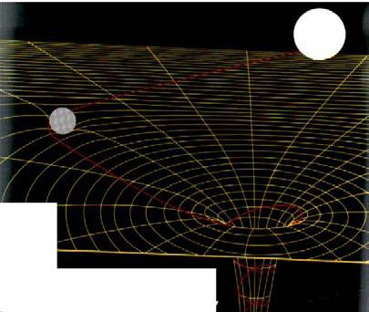 E la forza gravitazionale?