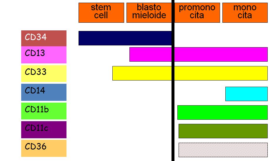 SCHEMA SEMPLIFICATO DELLA