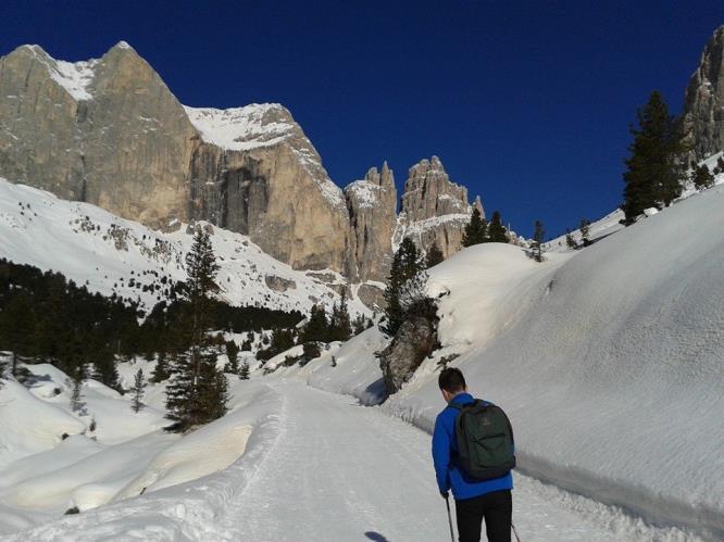 personali. Si precisa che lo scrivente gruppo garantirà vitto e alloggio ai Volontari partecipanti al servizio, mentre le spese di viaggio saranno a carico dell unità di appartenenza.