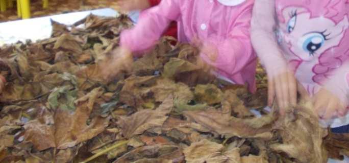 Ma quante attività fanno i nostri bambini alla Scuola Materna Vi va di conoscerne qualcuna insieme a noi?