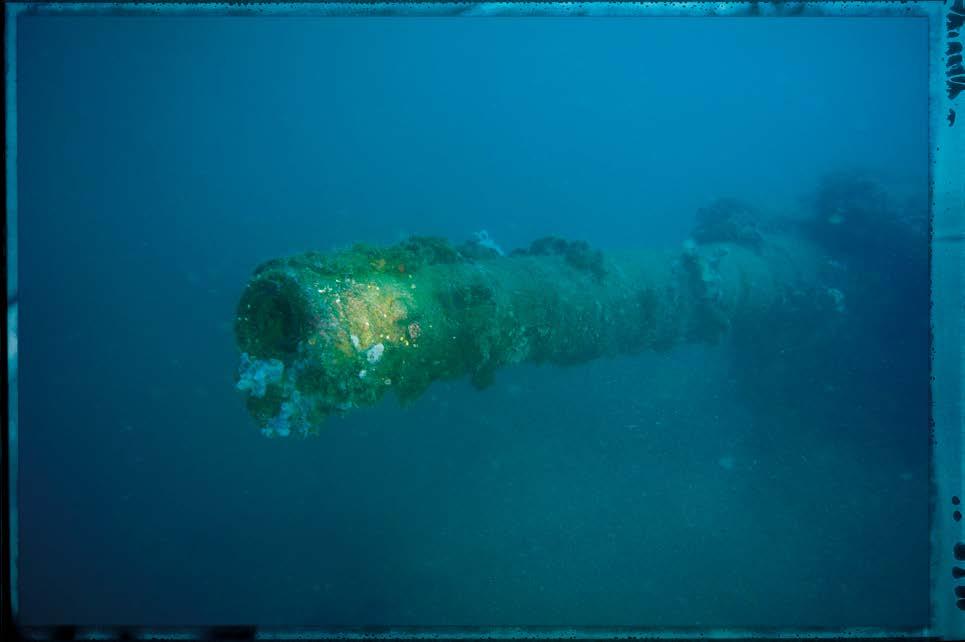 Cesare Rossarol Nereus 1 2015 affondò quasi subito a perpendicolo sul luogo dell incidente, mentre la prua, spinta dall abbrivio della navigazione in corso, proseguì per alcune centinaia di metri,