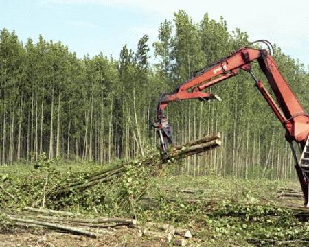 impianto che produce energia verde accresce la sensibilità verso le fonti energetiche rinnovabili ed