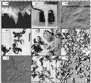 Settembre 2009 ARPAV-CVA Arabba. M.Valt 49 3.2.1.1. Forme dei 1. Particelle di precipitazione grani 2. Particelle frammentate 3. Grani arrotondati 4. Cristalli sfaccettati 5. Brina di fondo 6.