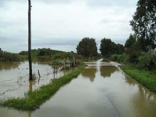 normativa del PAI