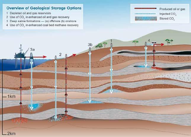 Fasi della Carbon Capture and Storage (CCS) Stoccaggio geologico Campi petroliferi e riserve di gas esausti (Enhanced Oil/Gas Recovery) Stoccaggio Campi di