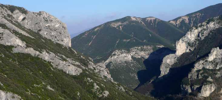 APPENNINO MARCHIGIANO - MONTE DI MONTIEGO Cresta Centrale del Montiego - Relazione Primo tratto di cresta.
