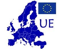 Comunità Europea ed identificazione degli animali da reddito Direttiva 92/102/CEE obbligo di identificazione individuale bovini, ovicaprini e suini) Reg.