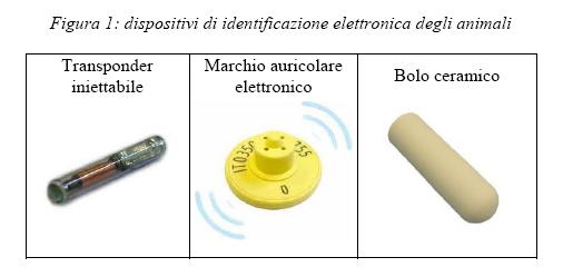 Dispositivi di identificazione elettronica I transponder utilizzati negli animali da reddito possono essere integrati in: capsule in vetro di diverse dimensioni (12-32 mm)