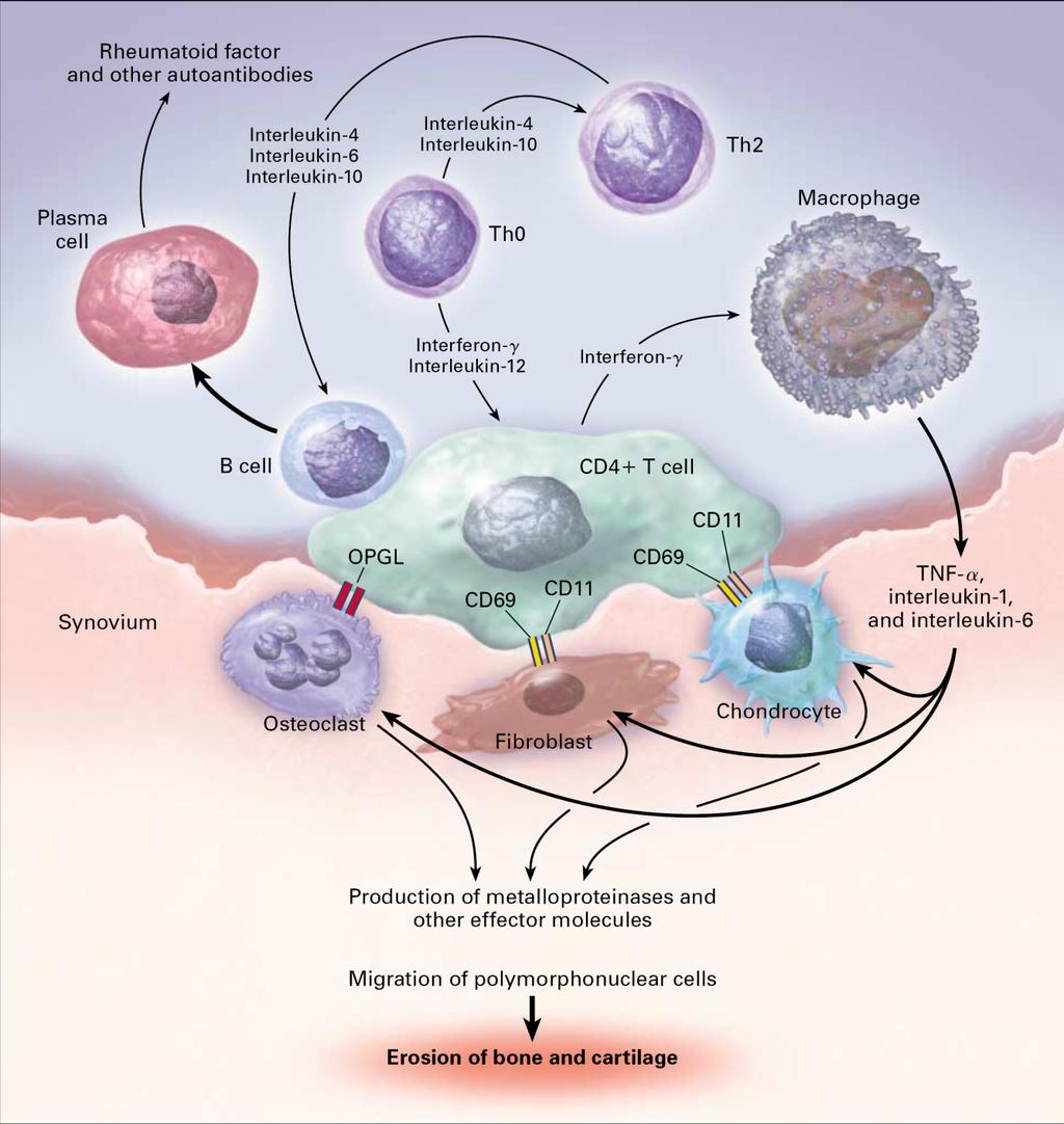 Biological therapies Anti-CD20 Anti-TNFα abatacept IL1-RA