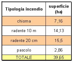 (2-4 metri) QUICKBIRD Segmentazione a oggetti e